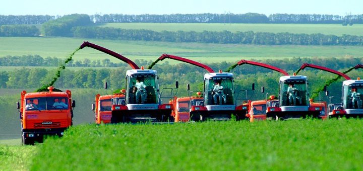 Сельхозпродукция