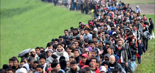в каких странах ЕС беженцы ищут политического убежища?