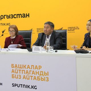 В опросе участвовали от одной до двух тысяч граждан семи стран Содружества Независимых Государств. Фото: Sputnik