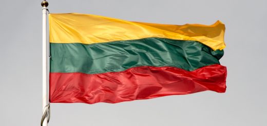 Огромное и негативное влияние на экономику Литвы, рынок труда и социальную жизнь оказывает продолжающаяся эмиграция населения.