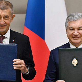 Мирзиеев и Бабиш